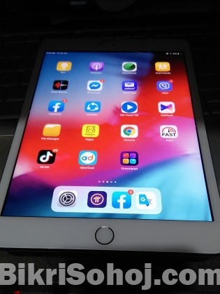 iPad mini 3